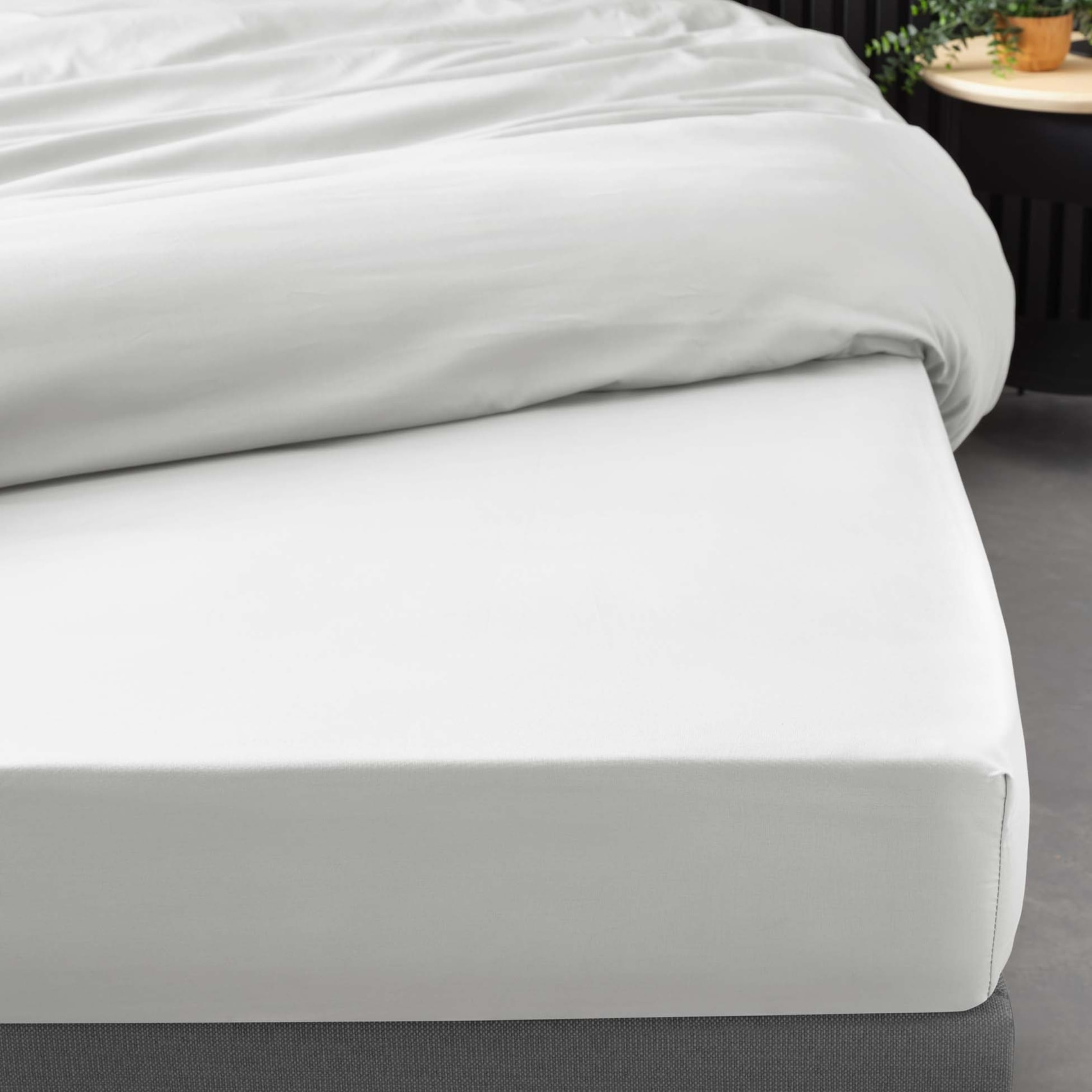 Drap Housse Uni 100% Percale de Coton ORIGINE - Blanc