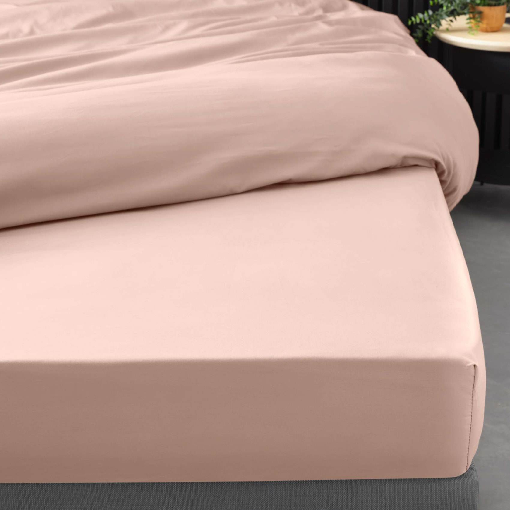 Drap Housse Uni 100% Percale de Coton ORIGINE - Rose