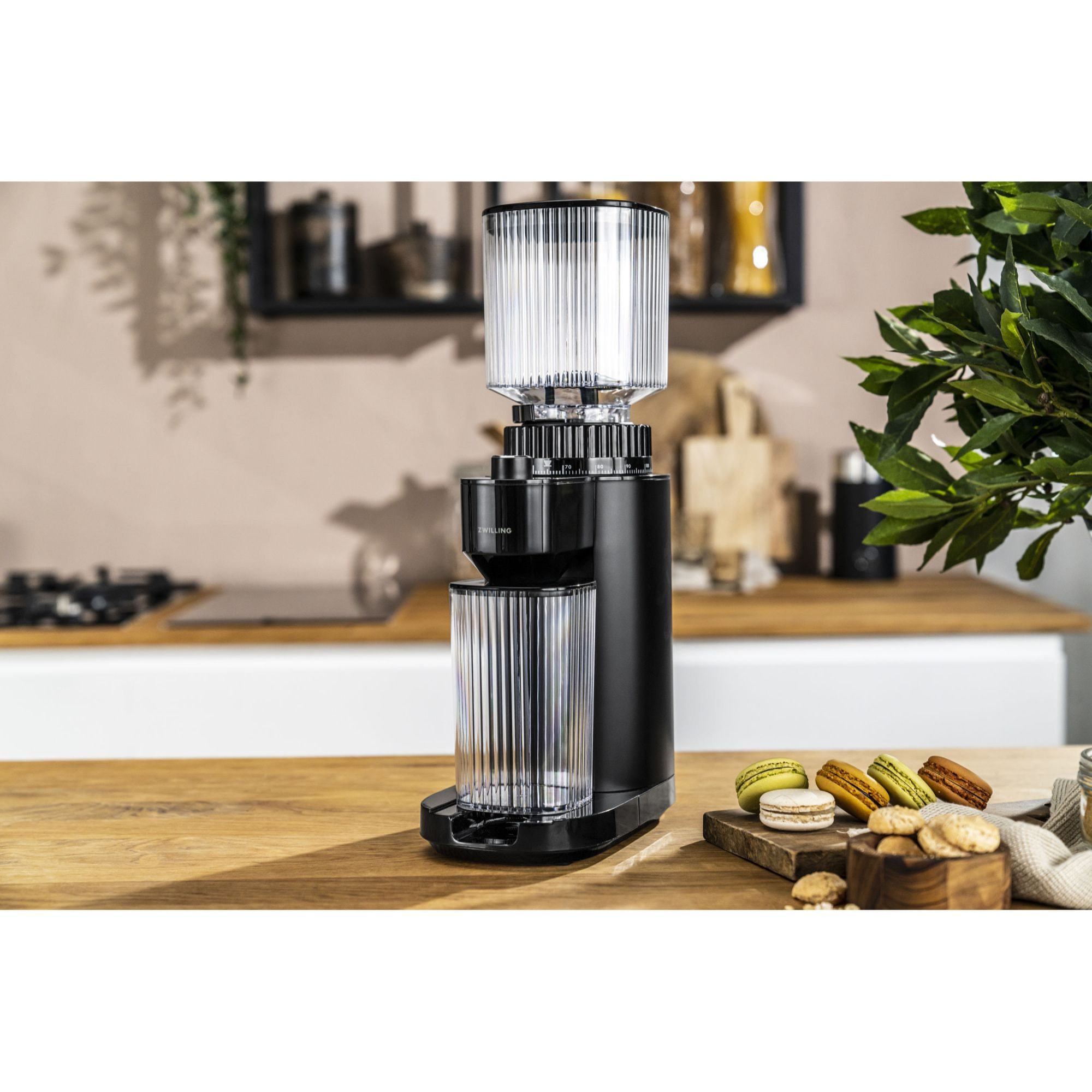 ZWILLING Broyeur à café, Mouture Réglable, 1 à 12 Tasses, Acier Inoxydable, 135W, 220-240V, Prise UE, Noir, série Enfinigy