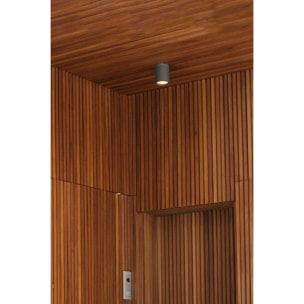 TASA Plafonnier gris foncé