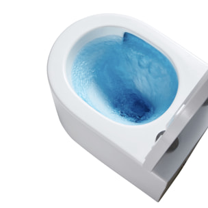 Pack WC Bati-support  + WC sans bride Vortex Swiss Aqua Technologies + abattant SoftClose + plaque (DELANOTQGEB3)