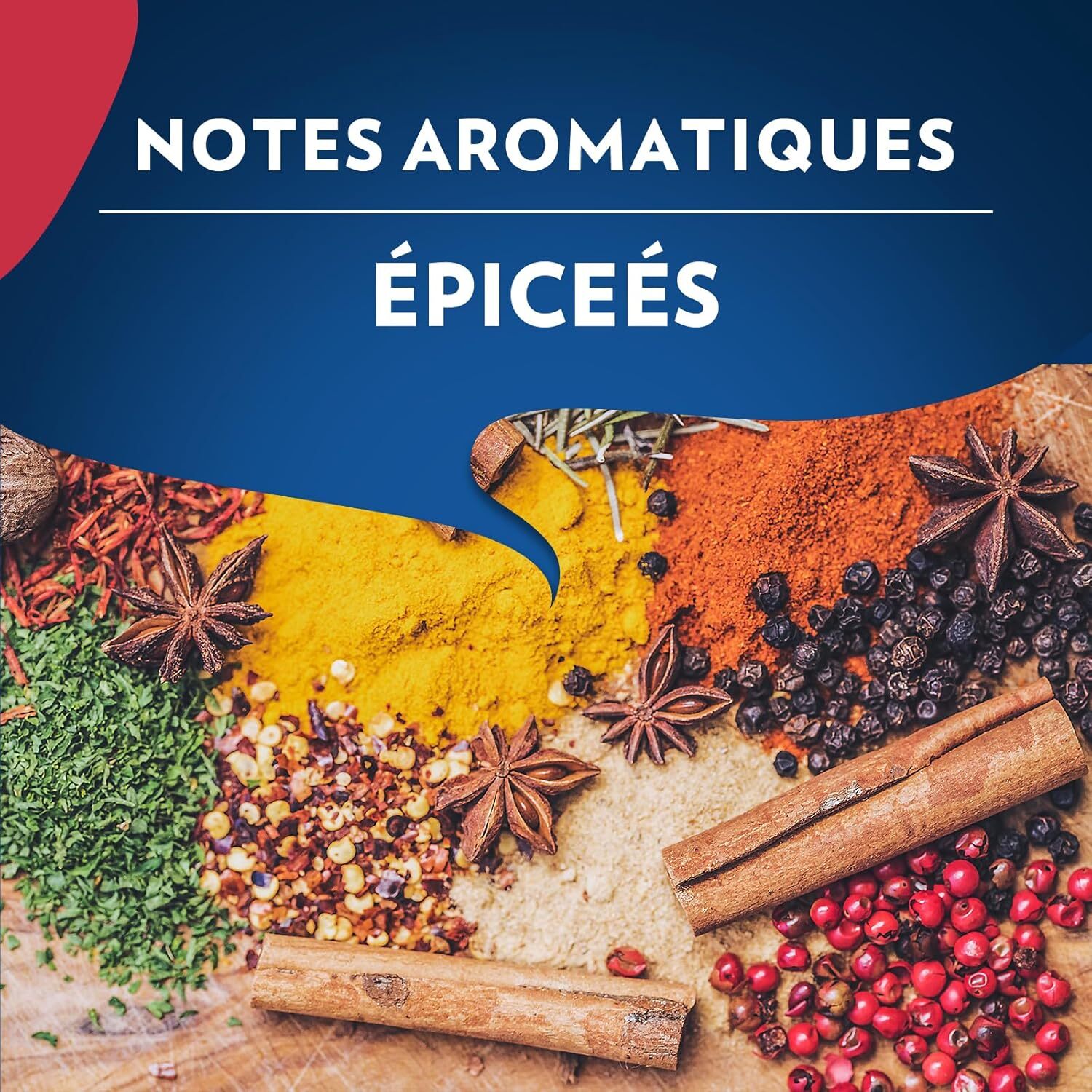 Grains Momento Vivace 1kg