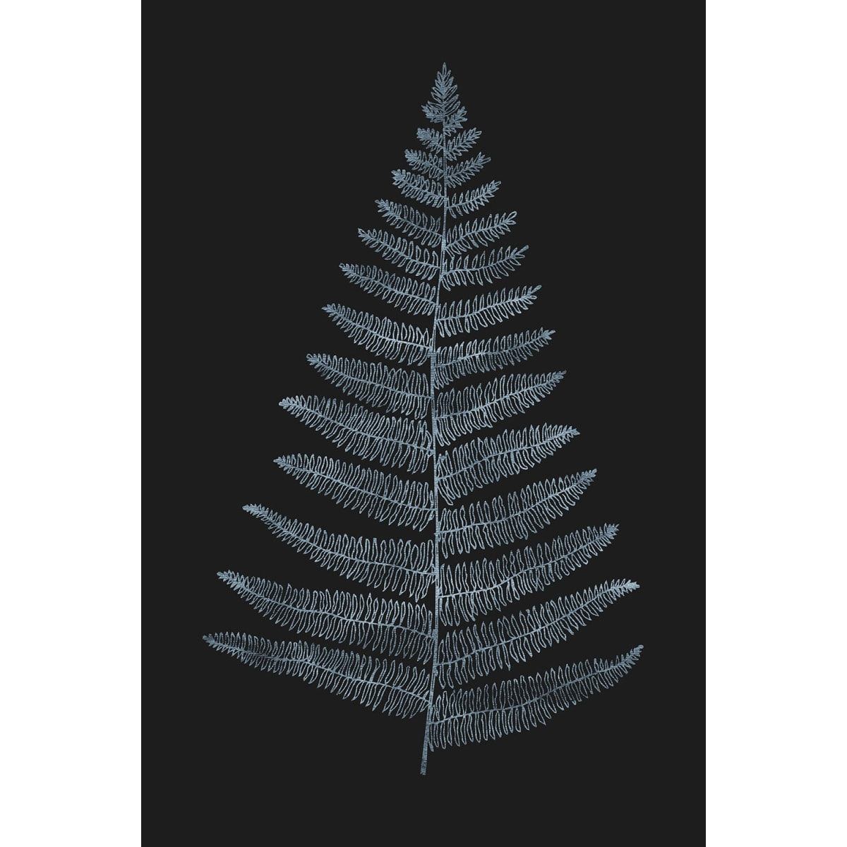 Tableau fougère royale blanche Tableau alu Dibond