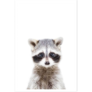 Affiche enfant bébé raton laveur  Affiche seule