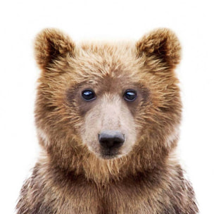 Affiche enfant bébé ours  Affiche + cadre en bois - Chêne