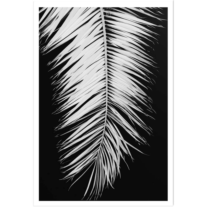 Poster palme x Affiche seule
