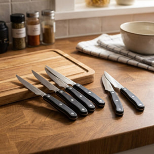 Lot de 6 couteaux à steak 22 cm Nirosta Fit
