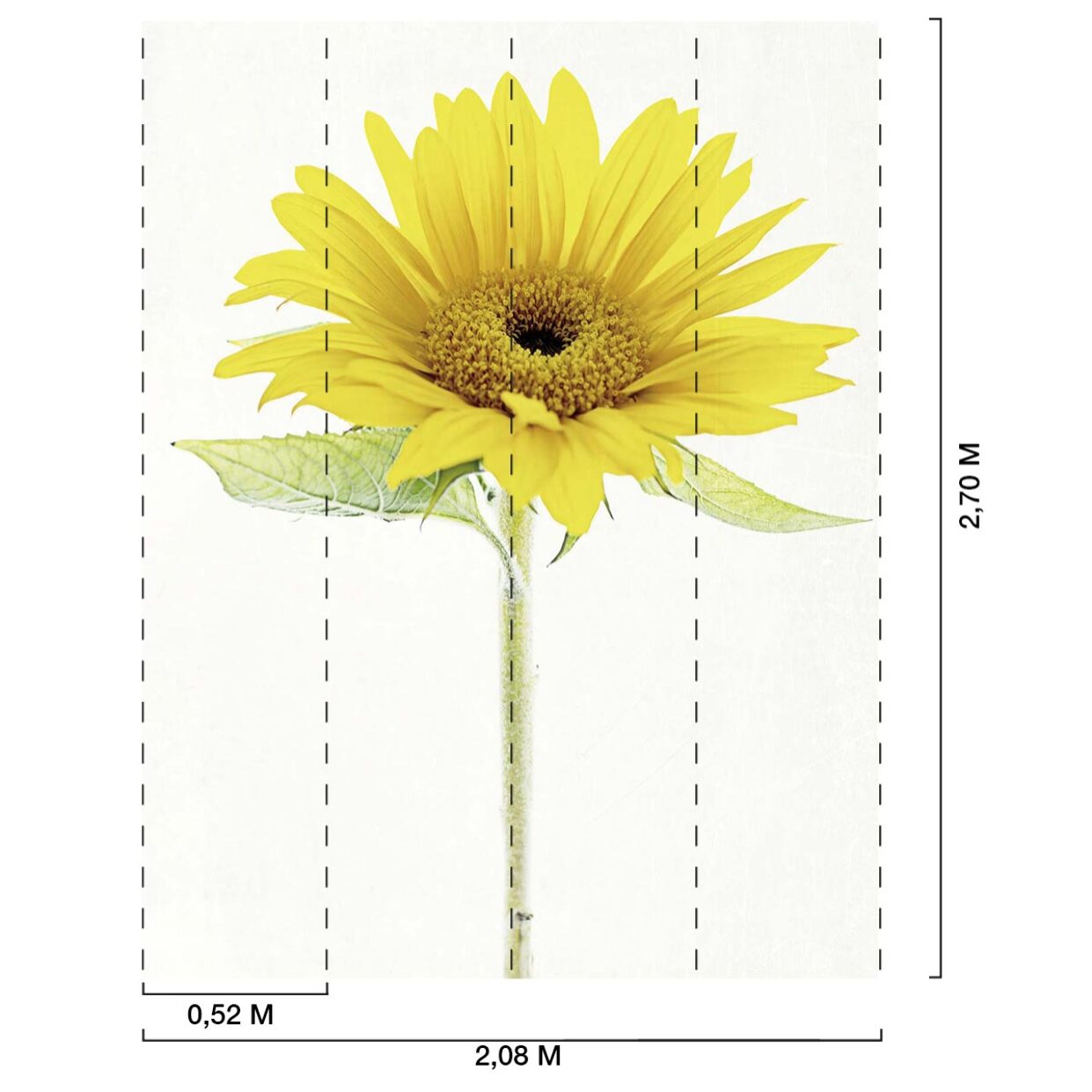 Papier peint fleur de tournesol Intissé