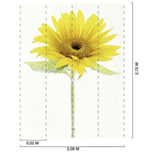 Papier peint fleur de tournesol Intissé