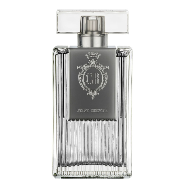 Just Silver - Eau De Toilette 100 ml