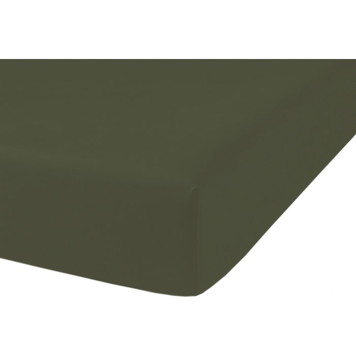 DRAP HOUSSE 2 PERS 160x200 percale de Coton - PERCALE KAKI