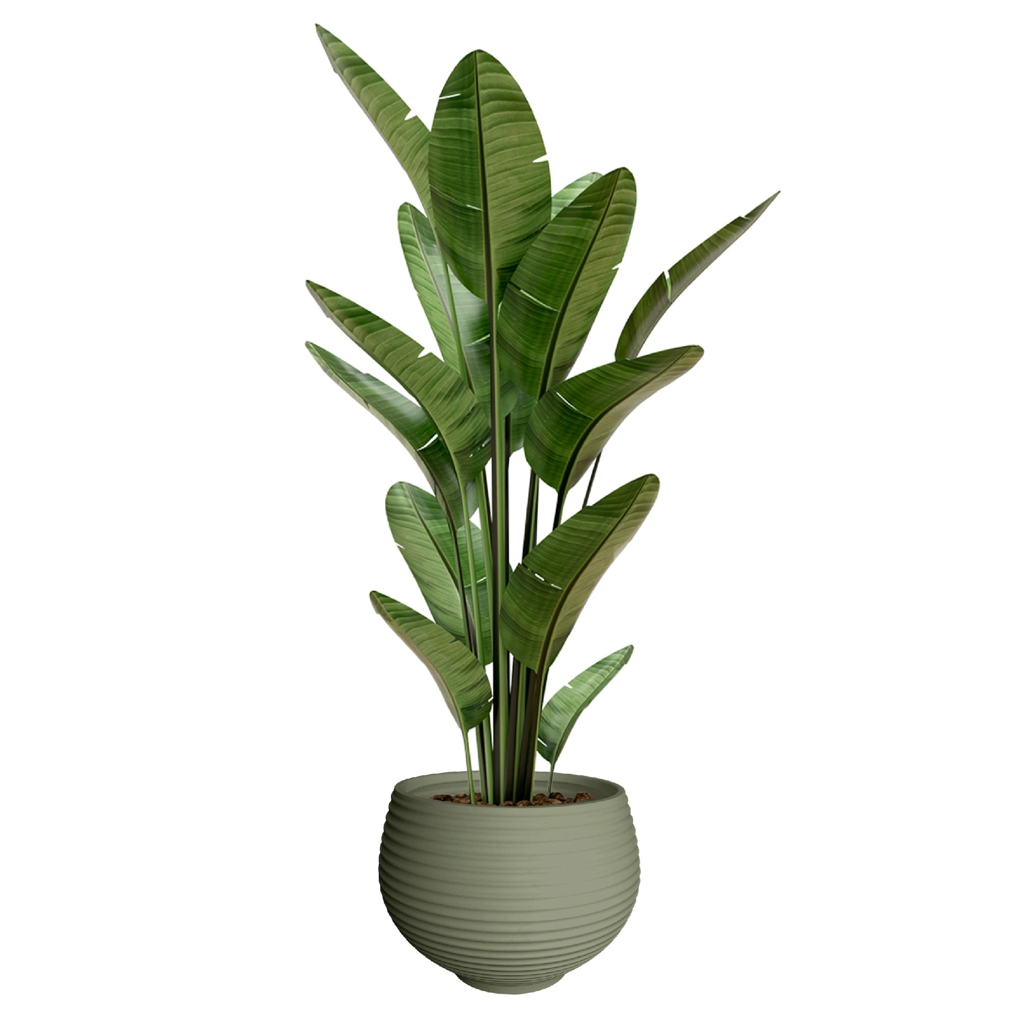 Maceta "zafira" old green