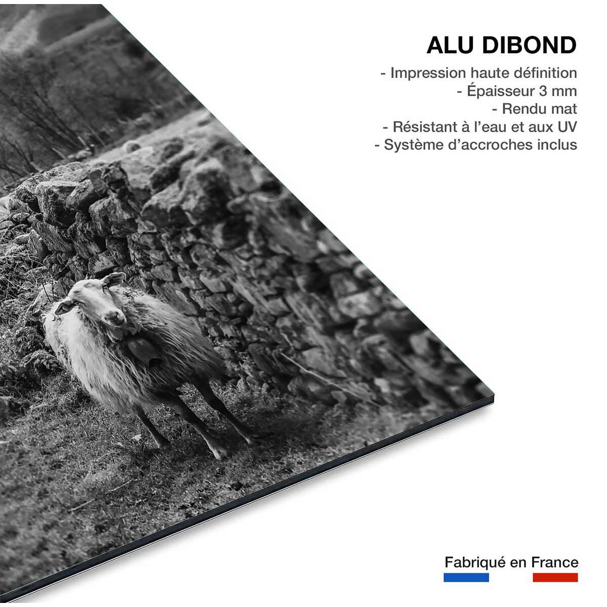 Tableau noir et blanc deco brebis Tableau alu Dibond