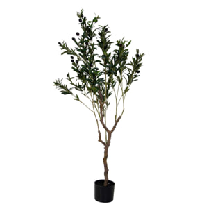 Pianta artificiale Vacchetti in plastica ulivo cm h130
