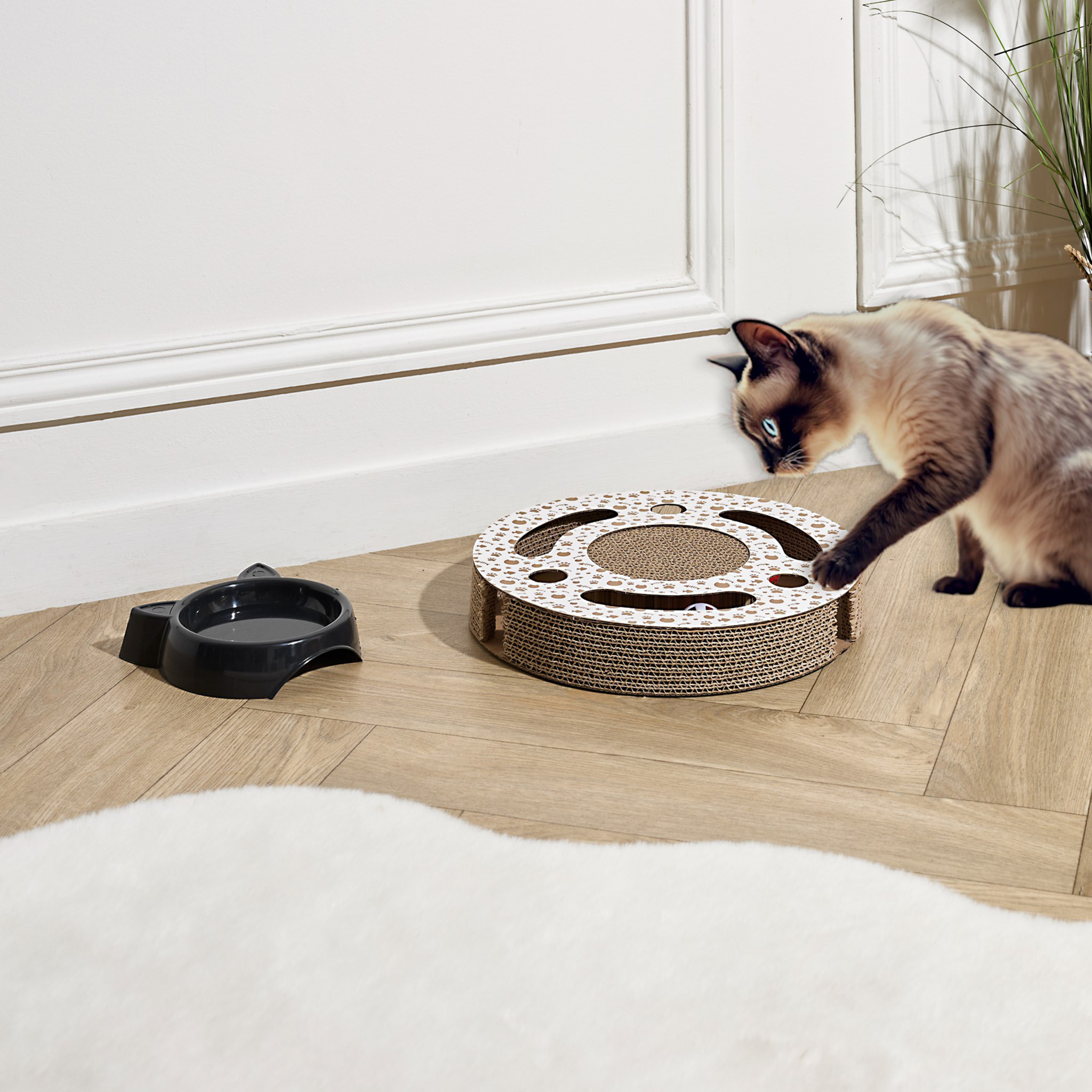 Griffoir Pour Chat