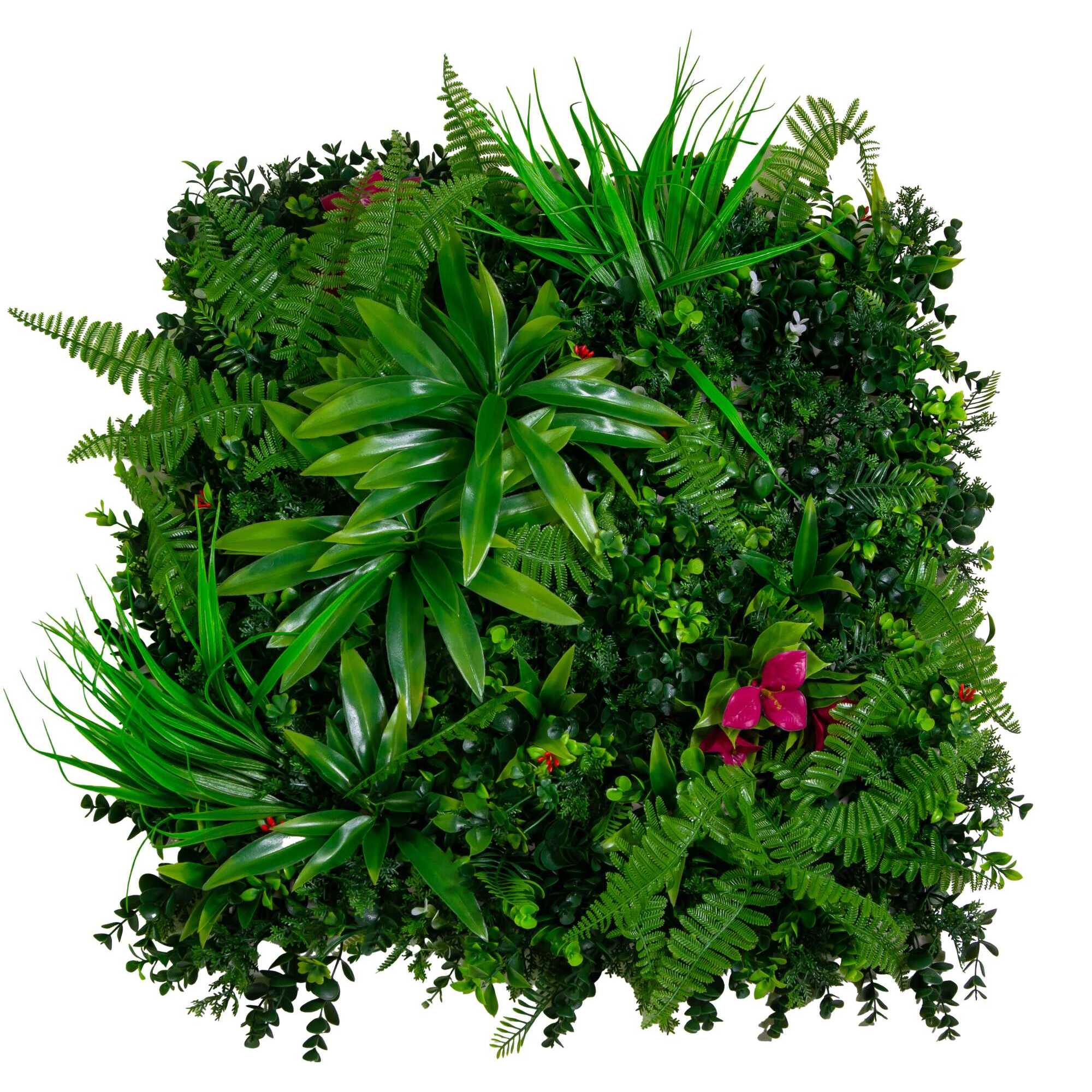 Parete verde verticale Vacchetti giungla con fiori buganville cm50x50