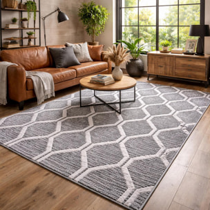 Tapis Turi en relief dessin géométrique, couleur gris et blanc