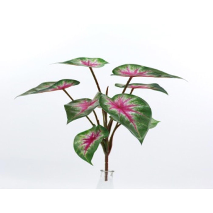 Syngonium 31 Cm Per 9 Real Touch - Pezzi 6 - 23X31X23cm - Colore: Rosa - Bianchi Dino - Piante Artificiali