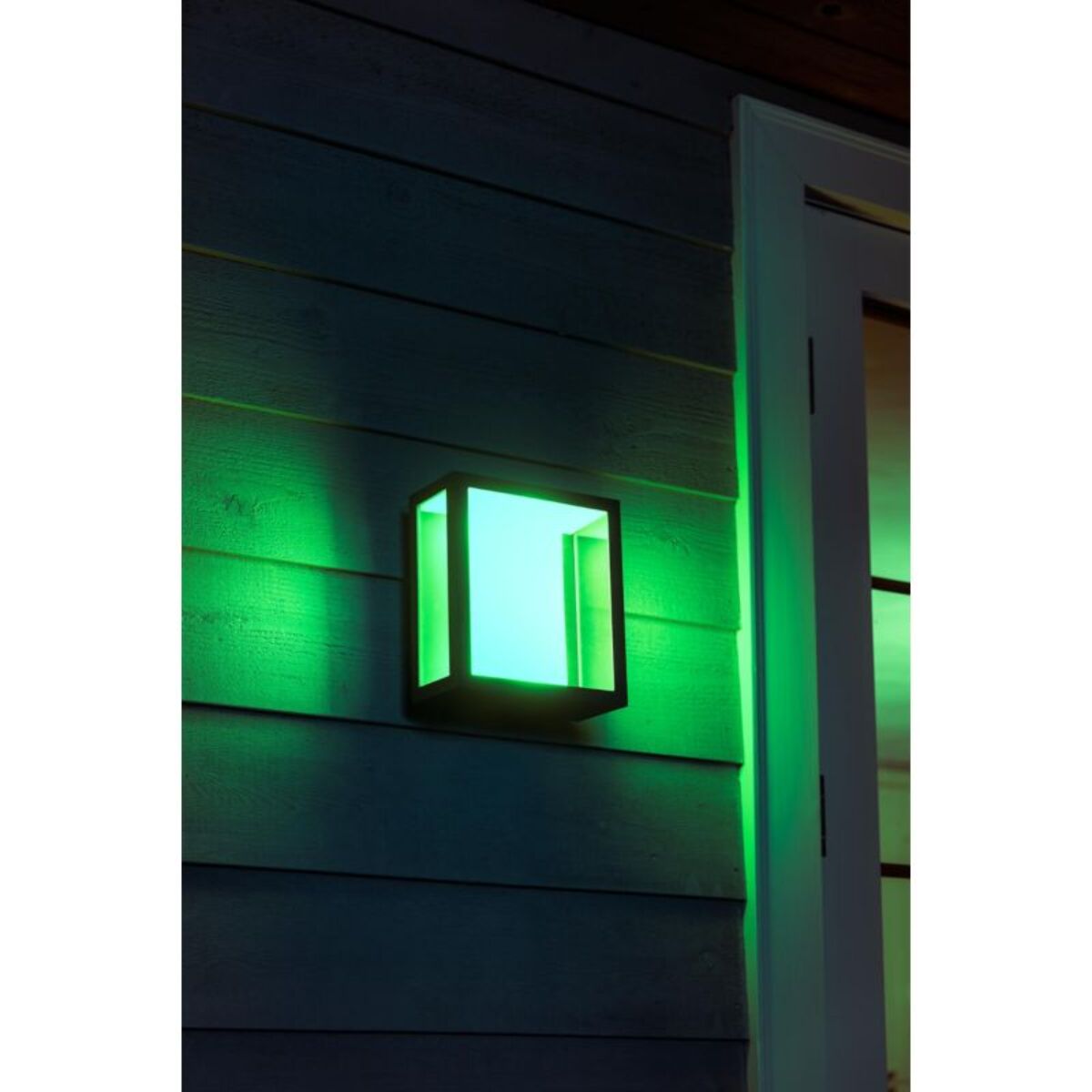 Lampe connectée PHILIPS HUE W&C IMPRESS Grand Modèle Noir Ext