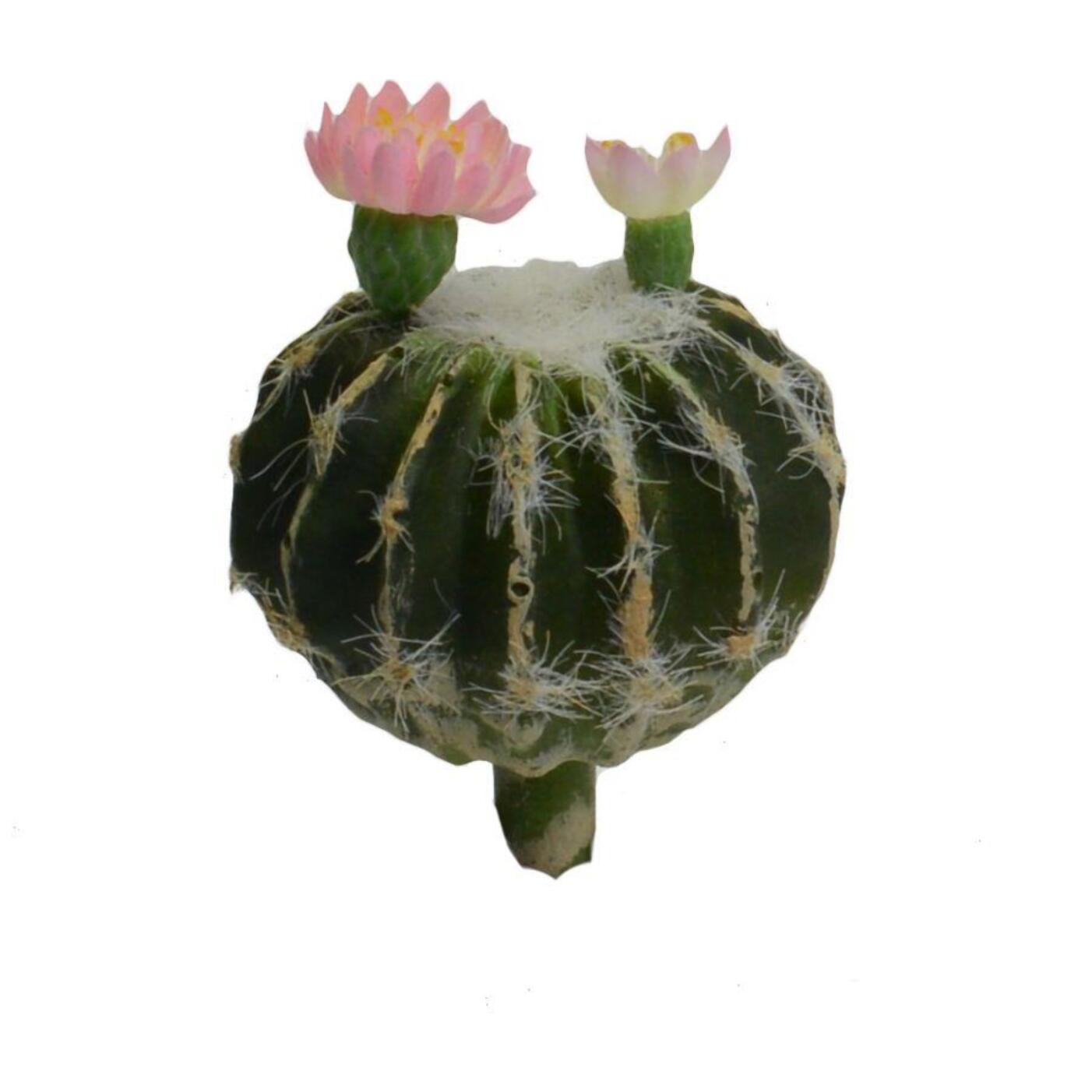 Ramo cactus con fiore rosa cmø10h11,4