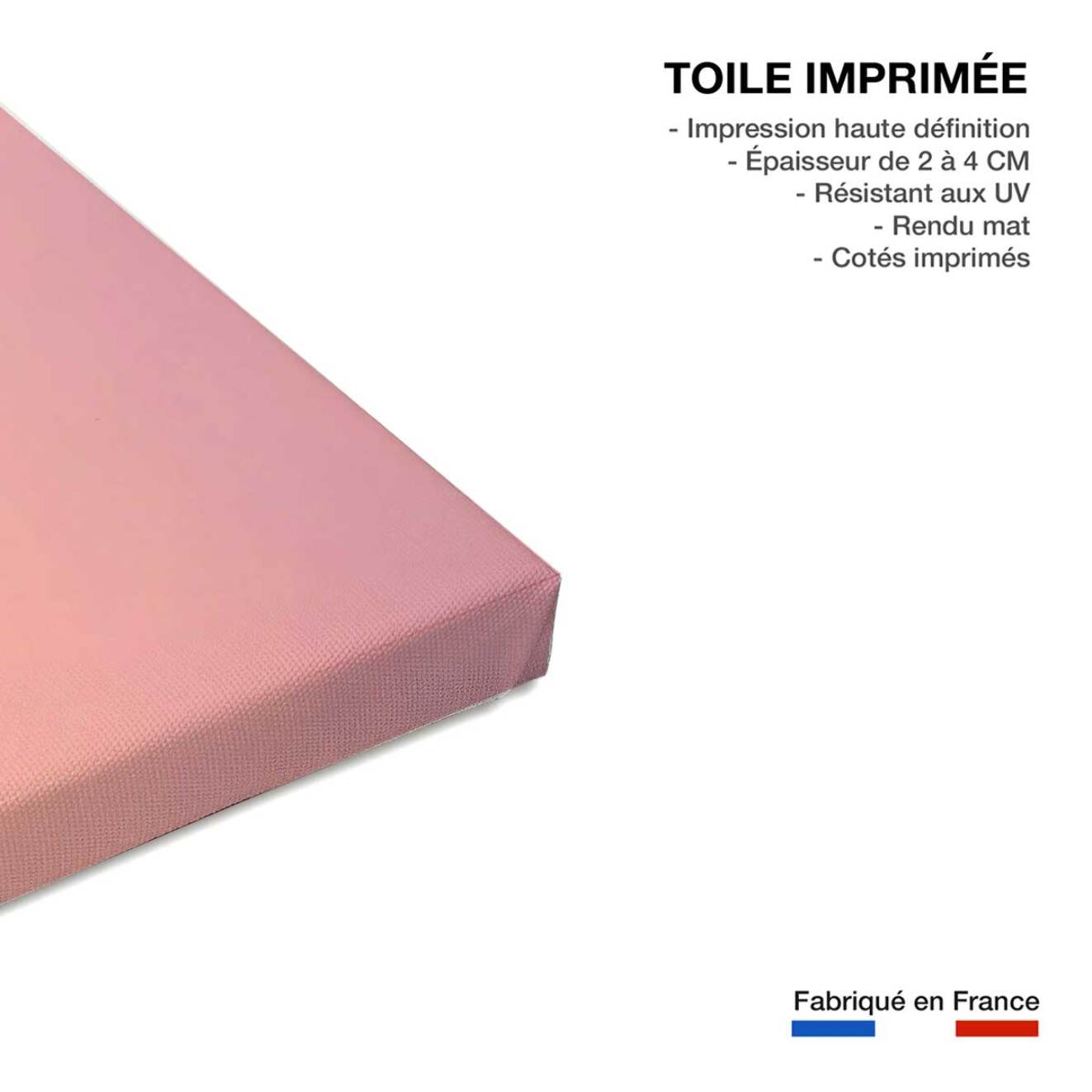 Tableau palmier rose ciel Toile imprimée