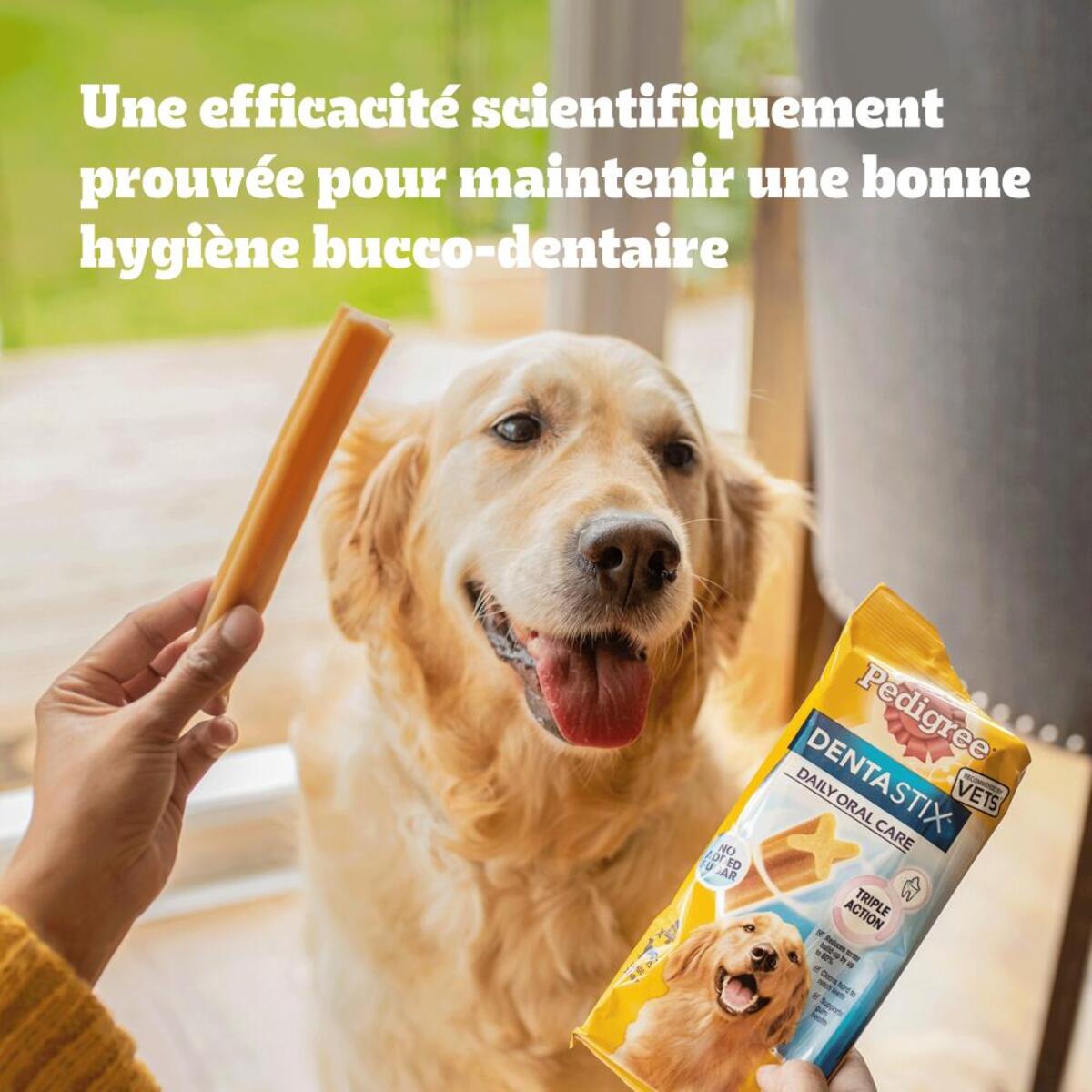 PEDIGREE BIEN-ETRE grand chien 3 Aliments complémentaires Immunité +35 Dentastix