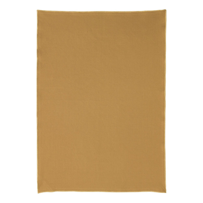 Torchon recyclé Isae