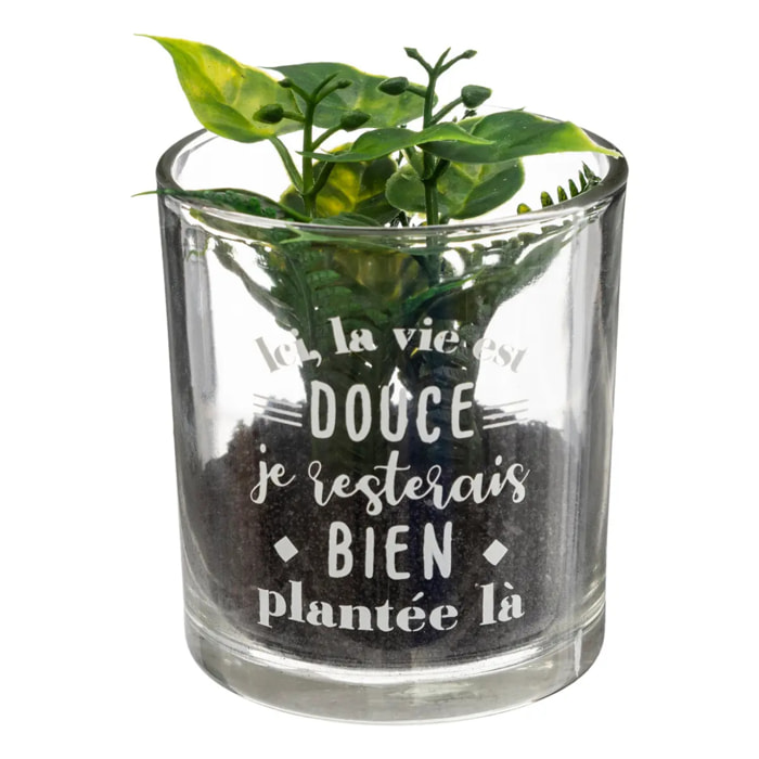 Plante artificielle "Message" - pot en verre - H8 cm