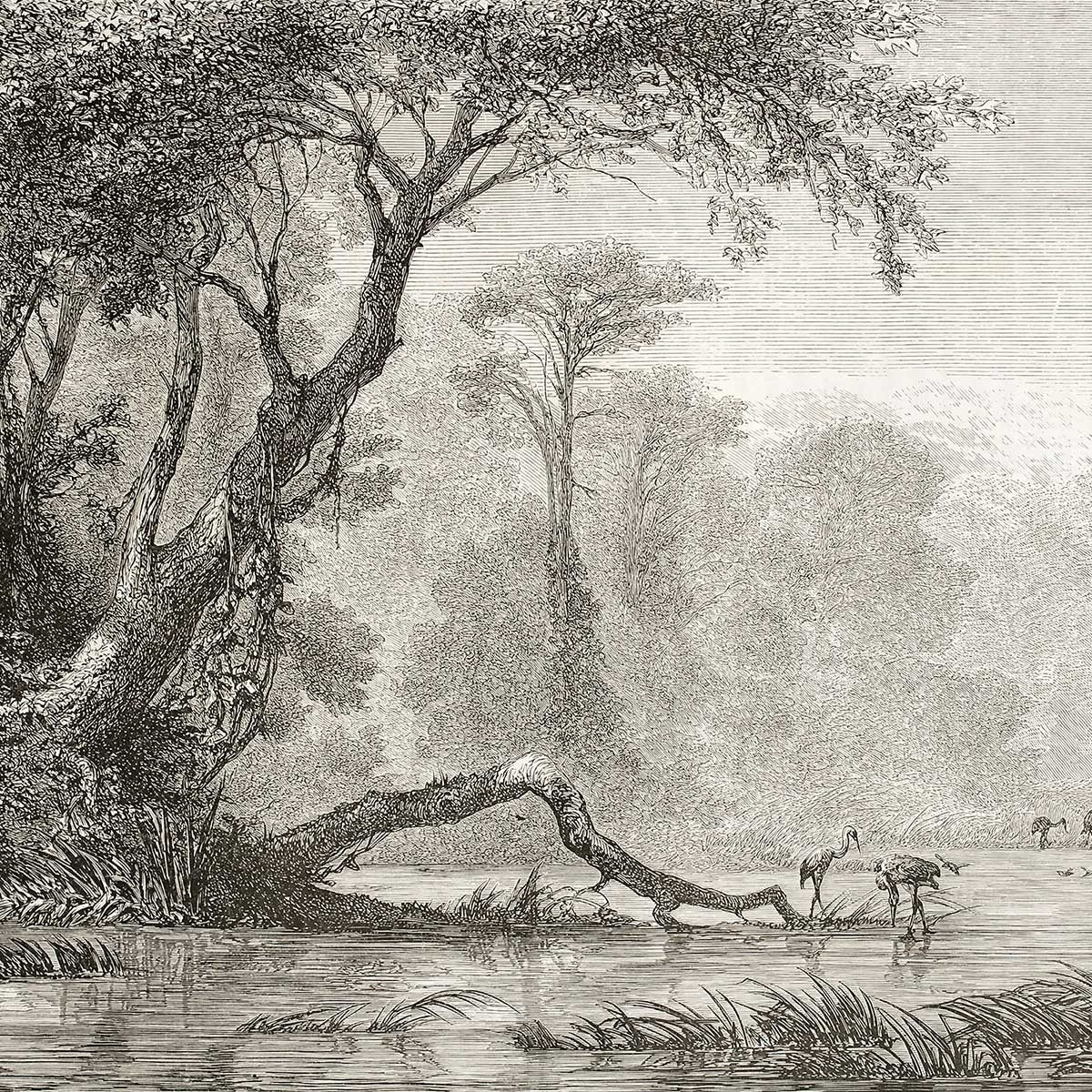 Affiche gravure les bords du fleuve Affiche sous cadre noir