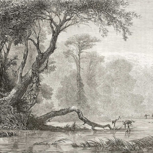 Affiche gravure les bords du fleuve Affiche sous cadre noir