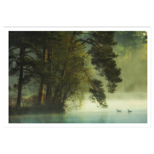 Affiche paysage marais neerlandais Affiche seule