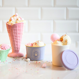 Set de 4 pots à glace réutilisables 220 ml, GELATERIA