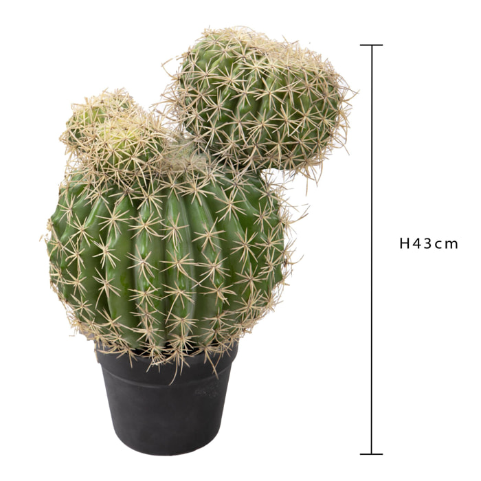 Echinocactus con vaso - Pezzi 1 - 29xH43x30cm - Colore: Verde - Bianchi Dino -