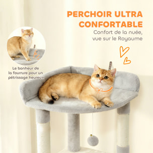 Arbre à chat design gris clair multi-activités - zones de repos, griffoirs - H.170 cm