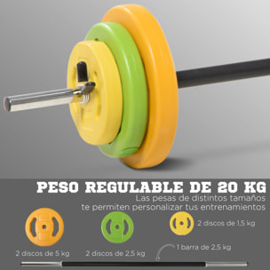 Conjunto de Banco de Pesas Multifuncional y Barra de Pesas con 6 Discos de Pesos Intercambiables para Entrenamiento Fuerza y Brazos en Gimnasio 165x68x114 cm 130x28x28 cm Multicolor