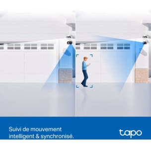 Caméra de surveillance TP-LINK Tapo C246D