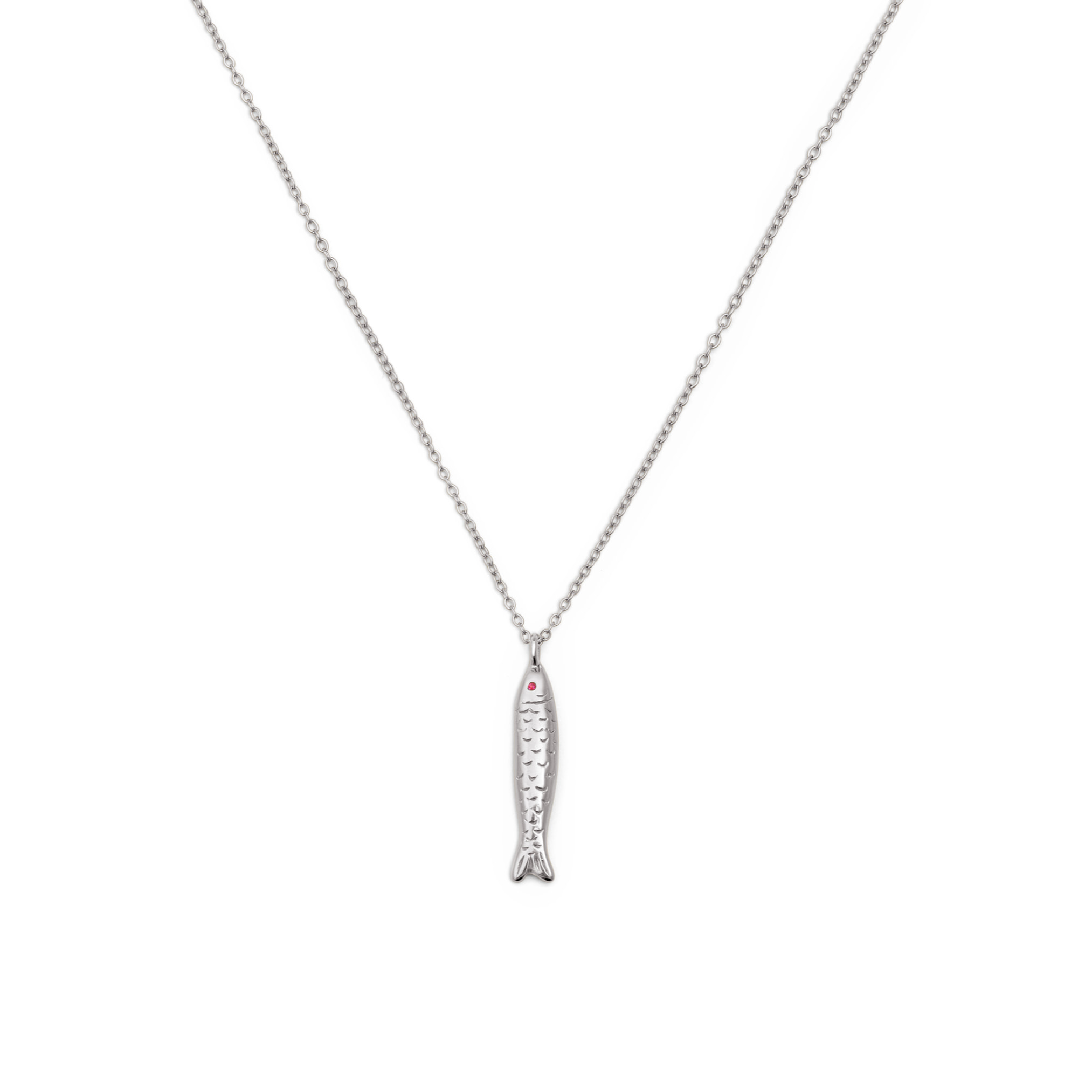 Collar Aqua Fish Acero