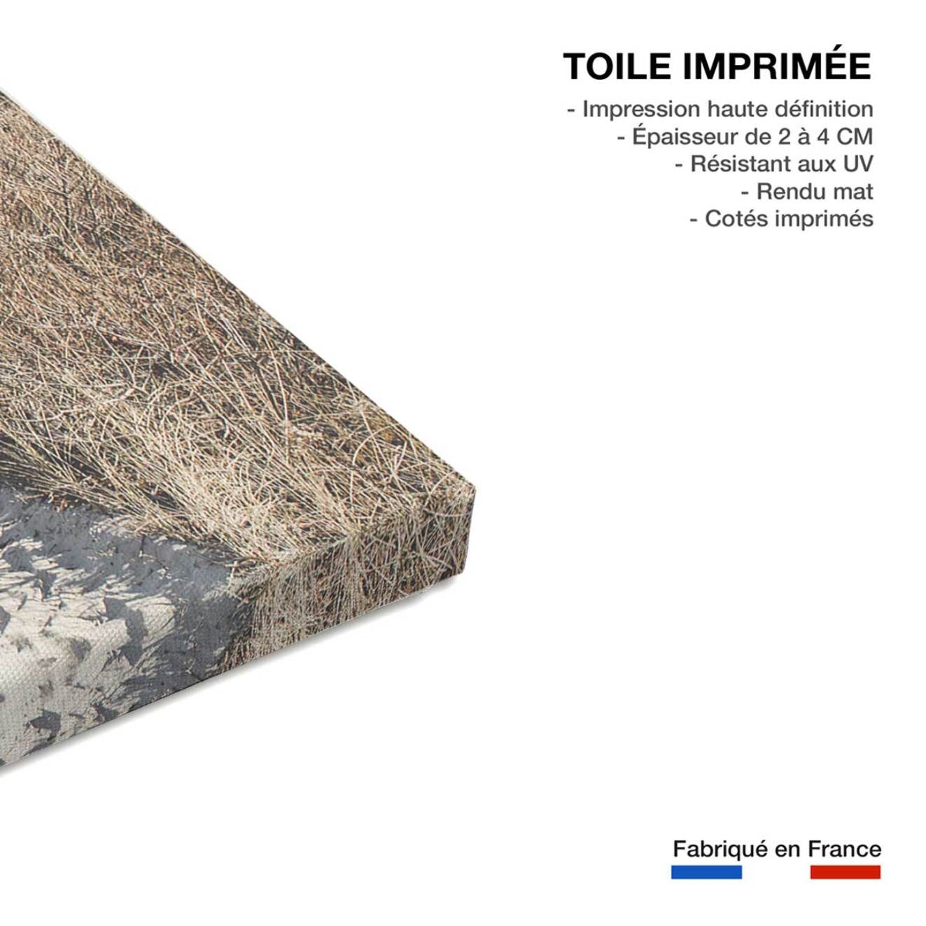 Tableau mer chemin dans la dune  Toile imprimée