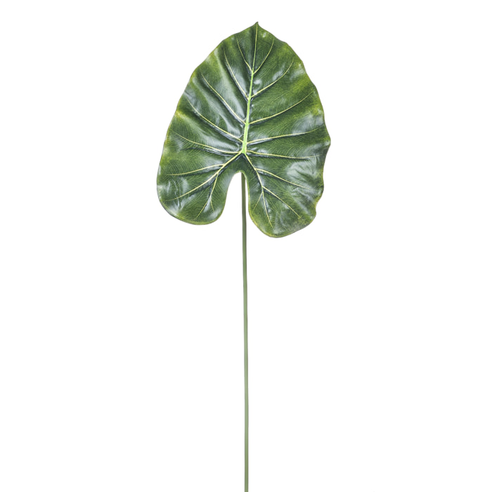 Foglia di Pothos. Altezza 66 Cm - Pezzi 12 - 29X66X20cm - Colore: Verde - Bianchi Dino - Piante Artificiali