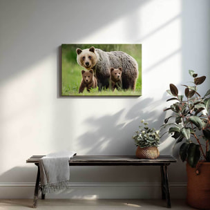 Tableau ours brun et ses oursons en pleine nature Toile imprimée