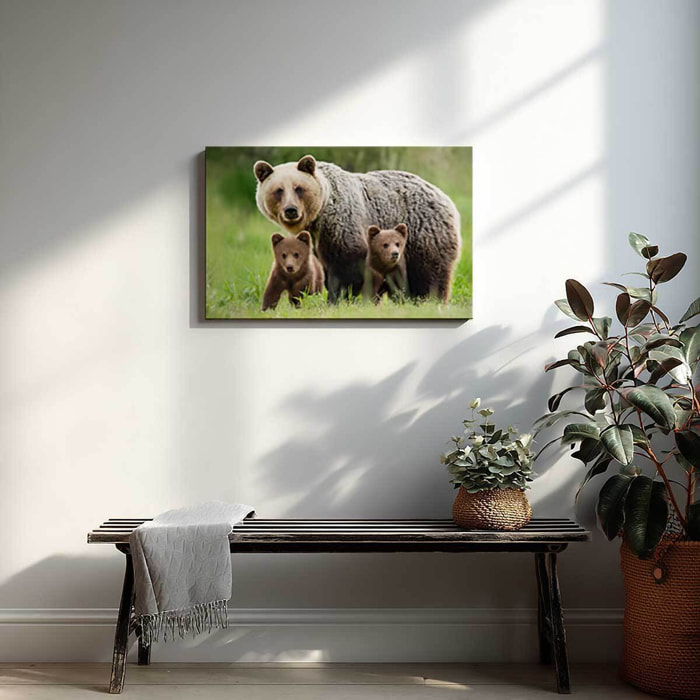 Tableau ours brun et ses oursons en pleine nature Toile imprimée