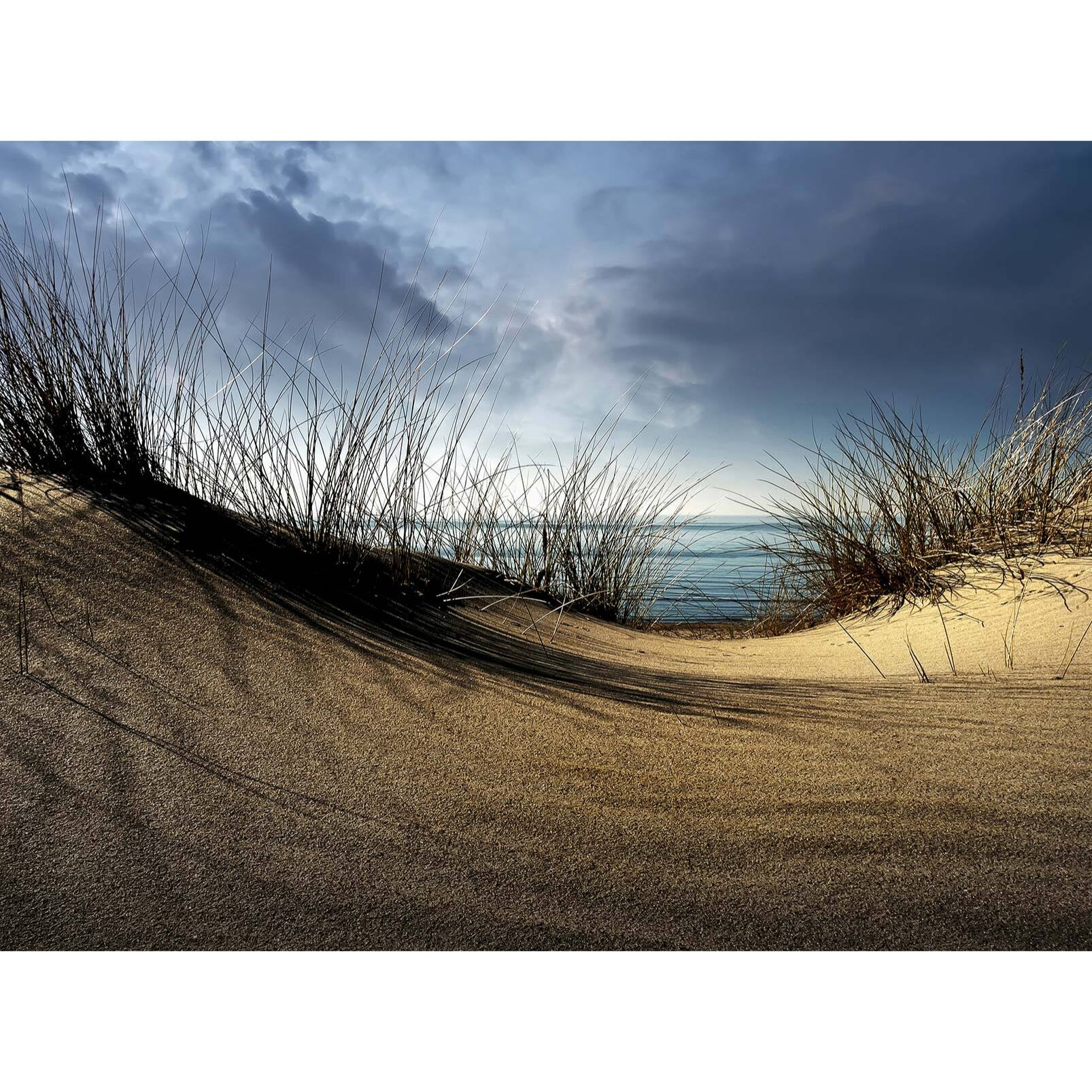 Papier peint panoramique en haut de la dune Intissé