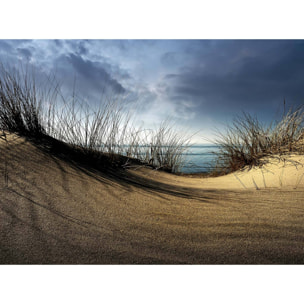 Papier peint panoramique en haut de la dune Intissé