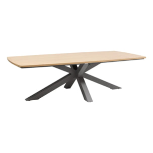 Table de jardin 10 places Oraclion marron