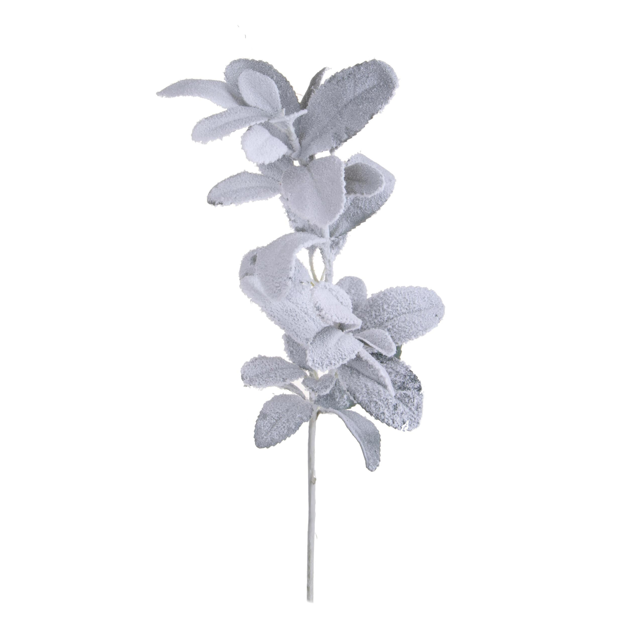 Ramo - Pezzi 12 - 15xH70x14cm - Bianchi Dino SpA