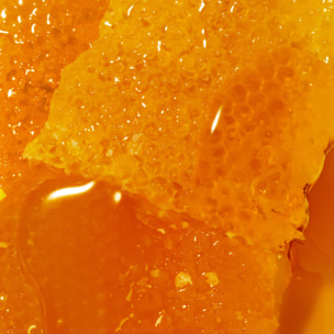 Rêve de Miel - Gel lavant surgras visage et corps - Peaux sèches et sensibles -