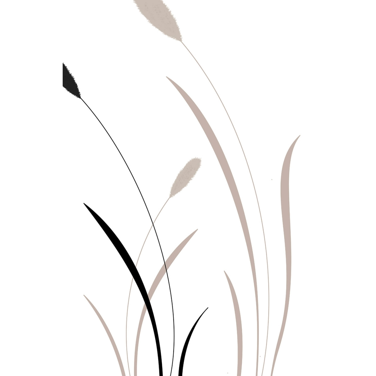 Tableau scandi blés Tableau plexiglas