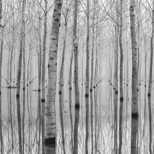 Affiche nature automnale pieds dans l'eau Affiche sous cadre noir