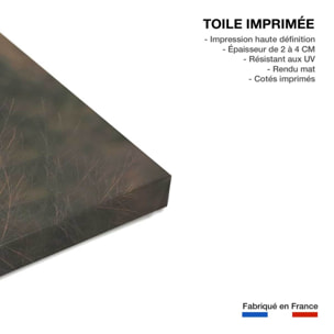 Tableau Lionne au crepuscule Toile imprimée