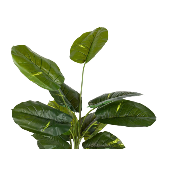 Planta Artificial Rhadhidophora Aureum Con Maceta 80x80x160 Cm